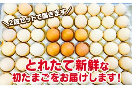 ＼２～５日以内発送／  初たまご プレミアムひまわりたまご108個程度※破卵補償 　卵 たまご 鶏卵 玉子 大容量 たまごかけご飯 たまごかけごはん 最短 濃厚