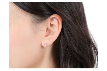 プラチナダイヤ ピアス トータル 0.2ct E280DI-P ダイヤ プラチナ ジュエリーアクセサリーレディース