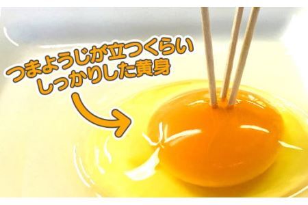 ひまわりたまご紅白セット　半年セット※破卵補償