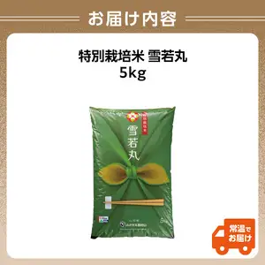 特別栽培米 雪若丸 5kg【山形県産 特別栽培米】【2025年度産米】 001-067