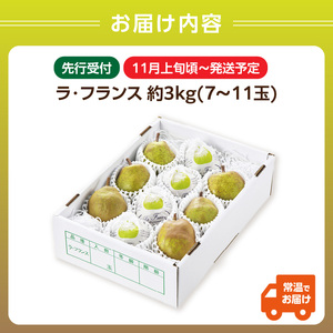 《先行受付》ラフランス 約3kg （7～11玉） 【2026年11月上旬頃～発送予定】【山形洋梨】 001-081