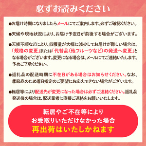 《先行受付》サンふじ約5kg 【2026年12月上旬頃～発送予定】【山形りんご・大江町産】 001-083