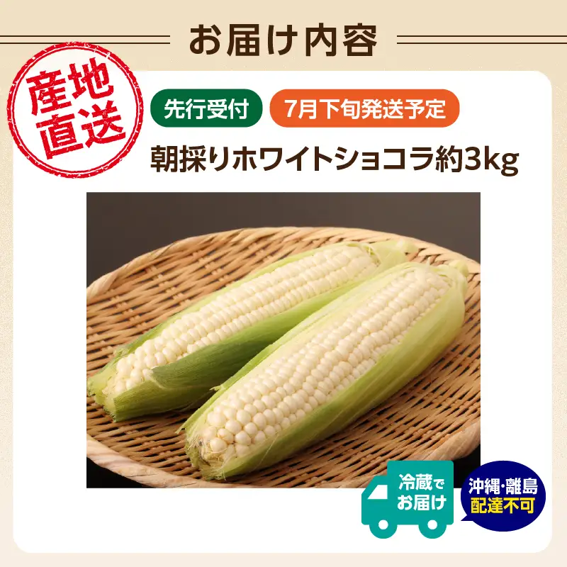 《先行受付》朝採りホワイトショコラ約3kg・A品2L・7～9本程度 【2026年7月下旬頃～発送予定】【山形とうもろこし・大江町産・明石農園】 027-003