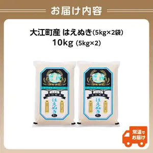 大江町産 はえぬき 10kg(5kg×2袋)【山形県産】【2025年度産米】 001-086