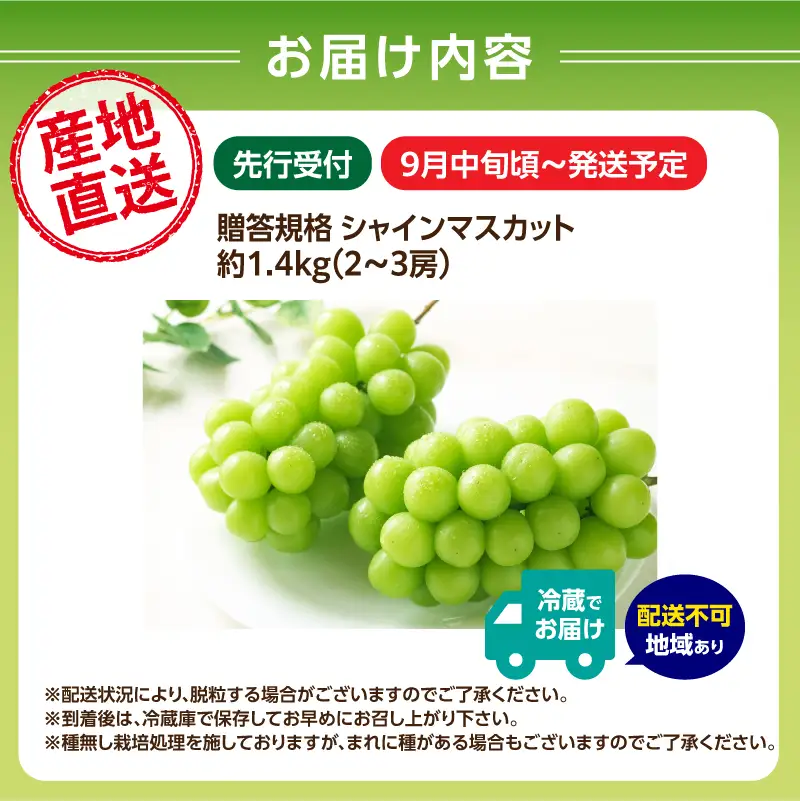 《先行受付》贈答規格シャインマスカット 約1.4kg（2～3房）【2026年9月中旬頃～順次発送予定】【山形ぶどう・大江町産・小林葡萄園】 024-003
