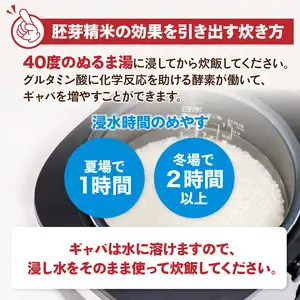 山形県産 無洗米 令和7年産 はえぬき 胚芽精米 10kg(2kg×5袋)【山形県産 BG精米製法】 036-007