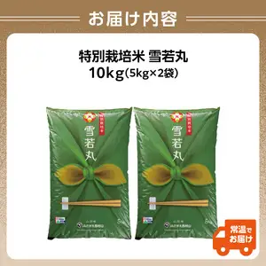 特別栽培米 雪若丸 10kg 【山形県産】【2025年度産米】 001-095