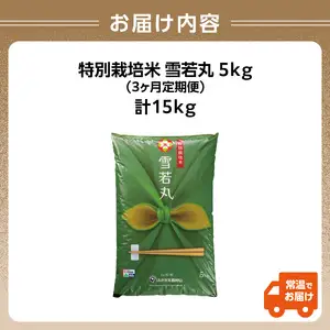 《3ヶ月定期便》特別栽培米 雪若丸 5kg×3ヶ月(計15kg)【山形県産 特別栽培米】【2025年度産米】001-T10