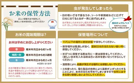 《3ヶ月定期便》大江町産 はえぬき 10kg(5kg×2袋)×3ヶ月(計30kg)【山形県産】001-T24