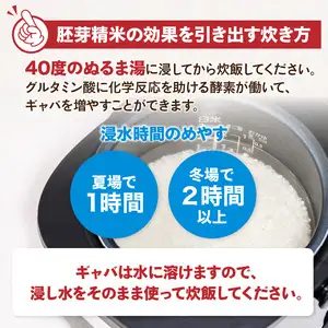 《3ヶ月定期便》山形県産 無洗米 令和7年産 はえぬき 胚芽精米 10kg(2kg×5袋)【山形県産 BG精米製法】 036-T27