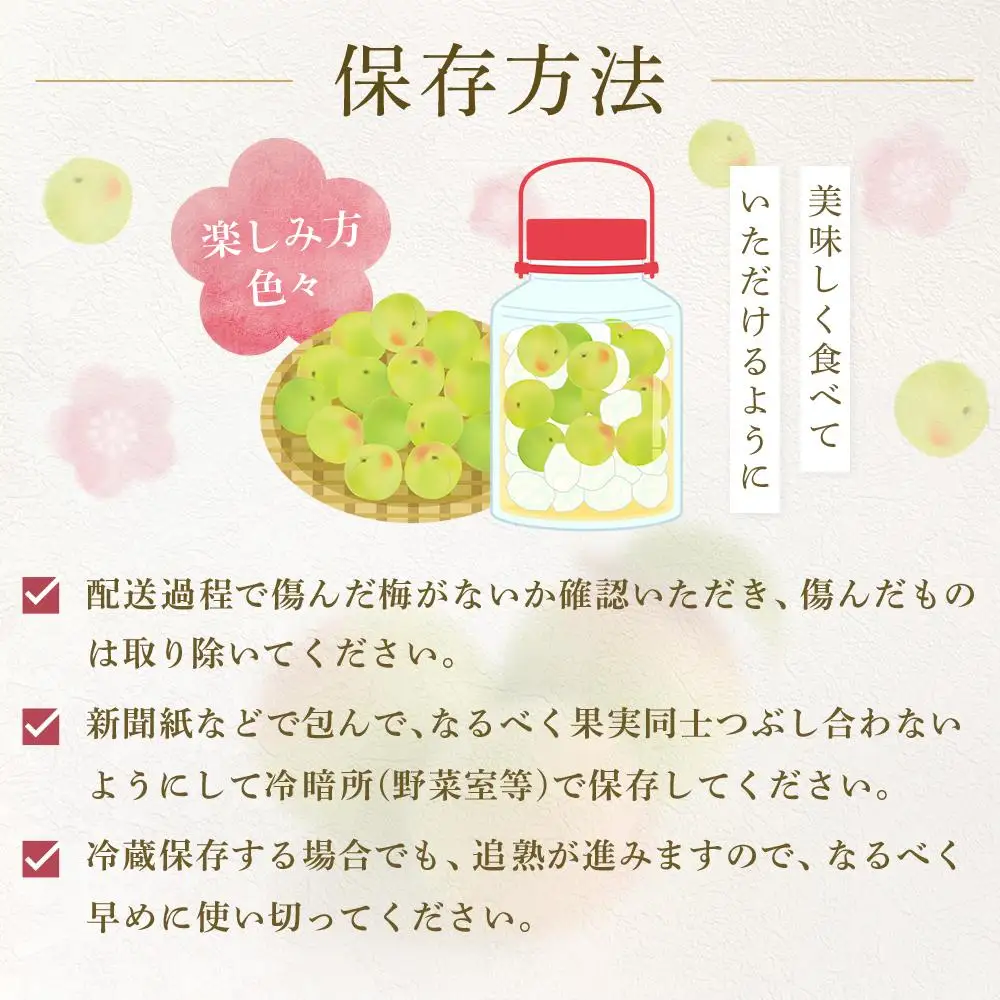 【2026年5月下旬以降発送】紀州南高梅(青梅) 5kg〈大粒/3Lサイズ〉