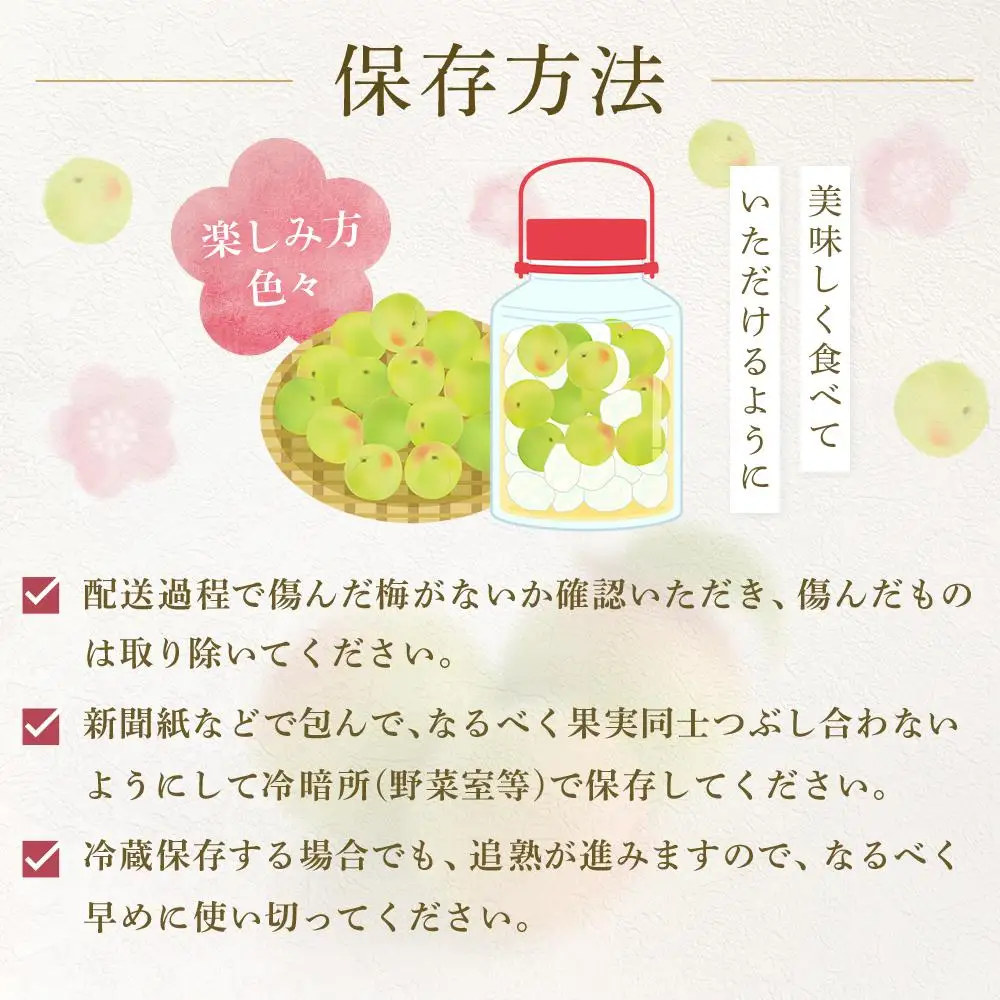 【2026年6月上旬以降発送】紀州南高梅(完熟梅) 5kg〈大粒/3Lサイズ〉