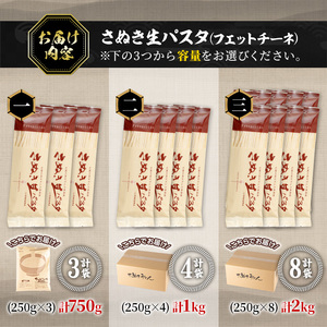 さぬき生パスタ (フェットチーネ) (750g) 小麦 麺 小分け 常温 コシ もちもち 香川県 【man189】【こんぴらや販売】