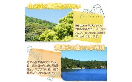 ＜期間限定！2026年6月上旬以降順次発送予定＞ホワイトコーン(約3kg/通常品) 香川県 国産 とうもろこし トウモロコシ 新鮮 冷蔵便 【man110・man111】【Aglio nero】