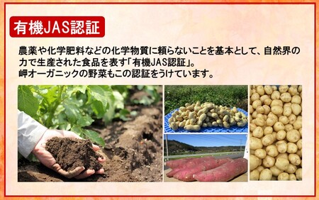 【先行予約】【訳あり】有機栽培さつまいもの岬ちゃん5kg（品種：紅はるか）_2357R