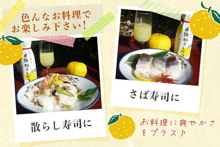 木頭柚子しぼり（柚子果汁）250ml×3本【徳島県 那賀町 木頭 木頭ゆず 木頭柚子 ゆず ユズ 柚子 柚子果汁 果汁 柑橘 ジュース ドリンク 調味料 便利 万能 贈物 プレゼント 有機栽培 手搾り 国産】KM-11