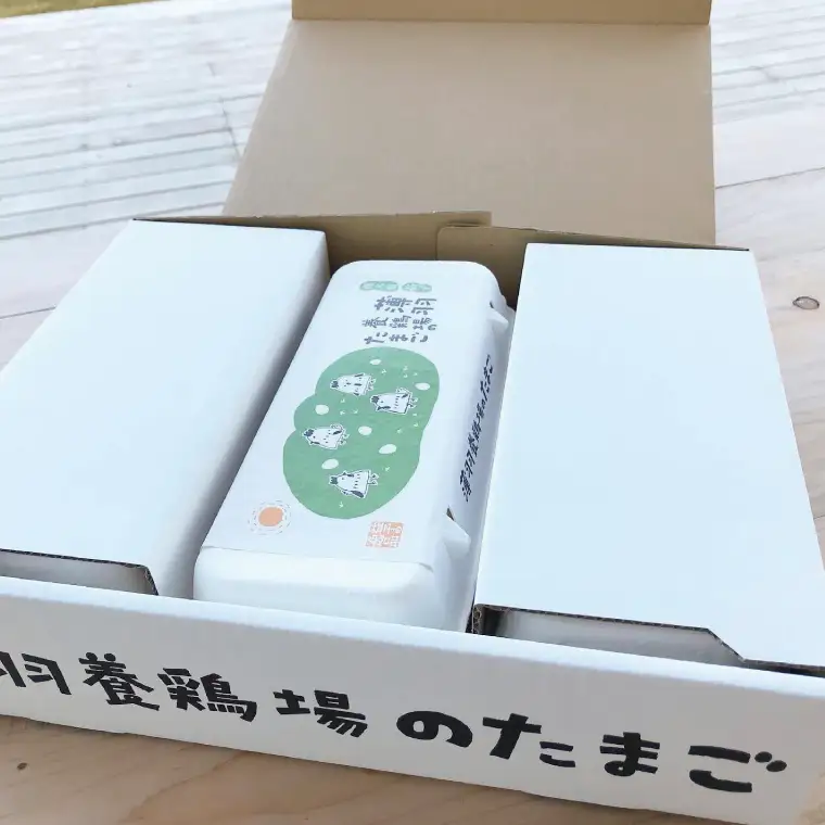 たまご 定期便 30個 年6回 黒麹育ちの赤たまご BC006
