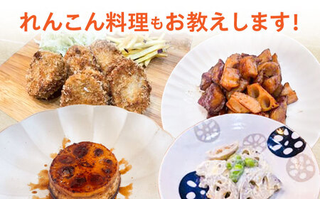 れんこん 掘り 体験 ペアチケット 蓮根 レンコン / 清水食品[AEAJ004]