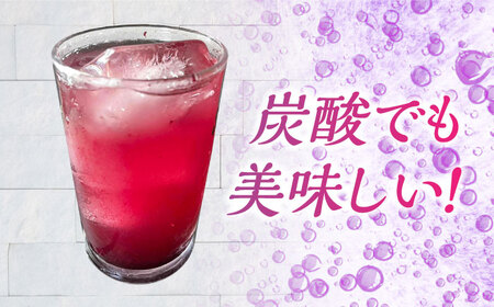 ブルーベリーミルクの素 280g×2 ブルーベリー[AEBZ001]