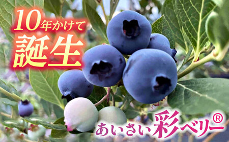 【6月より順次発送】 ブルーベリー 250g×2 「あいさい彩ベリー」[AEBZ002]
