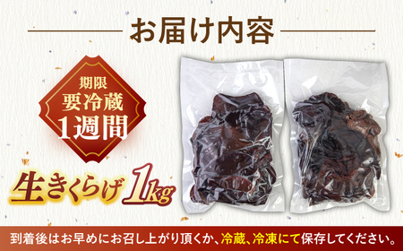 福岡県産生きくらげ 1kg ADBA001 きくらげ