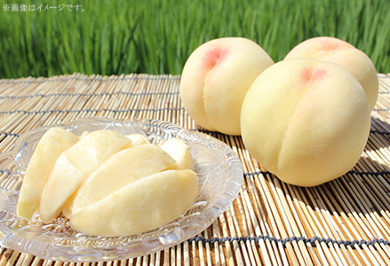 【ご家庭用】おかやまの桃 約1.3kg（5～6玉）【26年7月上旬以降に順次発送】