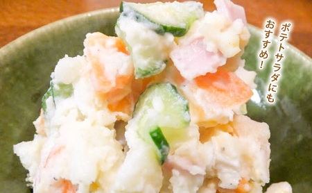 【令和8年産】かみふらのじゃがいも「キタアカリ5kg & アンデスレッド5kg」 野菜 旬の野菜 北海道産 北海道野菜 国産 国産野菜 グルメ 食材 ポテト 北海道産じゃがいも 