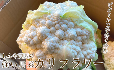 【令和8年産】しんや農園のつよい野菜「ブロッコリー6個 & カリフラワー4個」 旬の野菜 北海道産 北海道野菜 国産 国産野菜 グルメ 食材 栄養素 ビタミンC 新鮮 新鮮野菜【北海道上富良野町産】