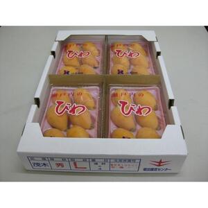 びわ 坂出市産 約1.6kg ( 4パック × 2箱 )｜初夏の味覚