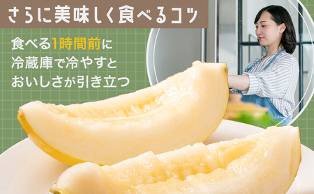 キンショーメロン 4kg(6～9玉) メロン《2026年4月上旬-7月上旬頃出荷》熊本県 菊池市 果物 フルーツ 金鐘 ノーネットメロン 黄色いメロン 菊池市産 熊本県産 九州産 送料無料