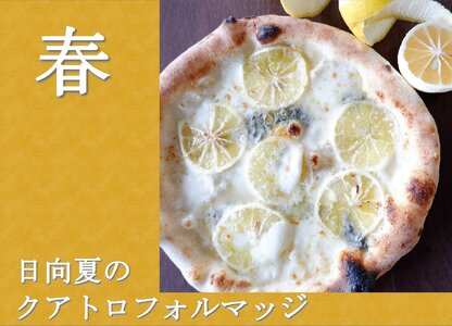 ミシュランピッツァ職人の本格ナポリピザ おすすめ３枚 春セット《冷凍・手作り・窯焼き》 [H+Kitchen&Bakery 宮崎県 日向市 452060808]