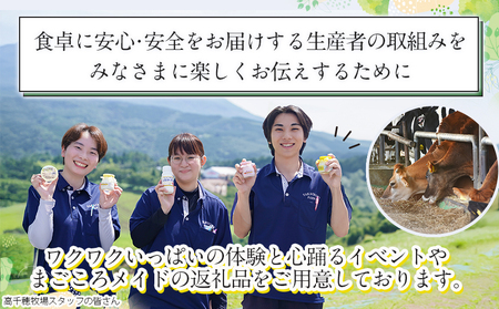 高千穂牧場乳製品セット(プリン付き)《ご入金翌月の中旬～下旬の水曜日頃出荷》_MJ-1615_(都城市)