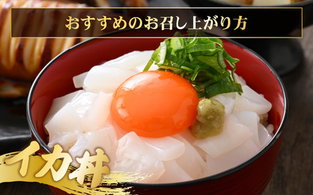 【先行予約】イカ お刺身で食べる 天然 アオリイカ 約1kg【2026年11月上旬以降順次発送予定】 [m36-b008]