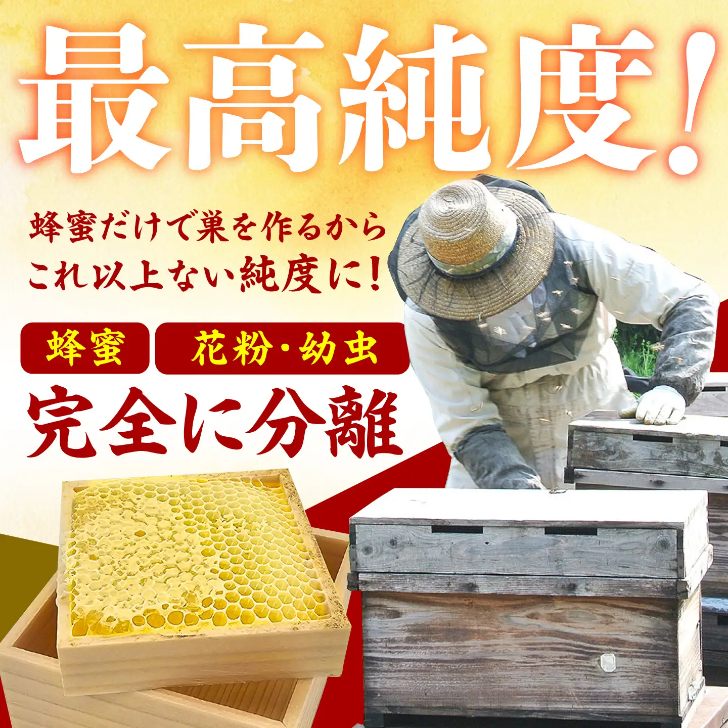 【訳あり】国産巣みつ 300g未満 / はちみつ [AFAI039]