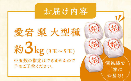 【12月上旬発送開始】愛宕梨 約3kg (3玉-5玉) / 梨 なし ナシ フルーツ[AFAR025]