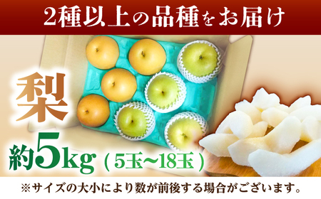 【8月上旬発送開始】 食べ頃品種を2種以上お届け! 梨 食べ比べセット 約5kg （5玉-18玉） / 梨 [AFAR027]