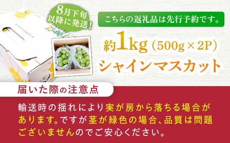 【★先行予約★ 2026年8月下旬以降発送】シャインマスカット 2房セット 約1kg / シャインマスカット [AFAB012]