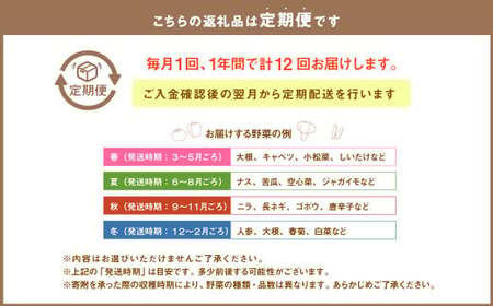 【茨城県共通返礼品】【12ヵ月定期便】栽培期間中農薬不使用 季節の野菜ハーフセット(6～7品)