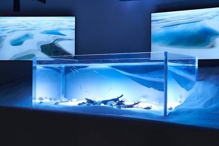 カワスイ 川崎水族館ペアチケット　