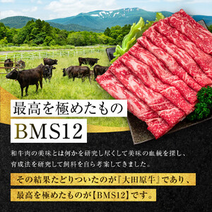 大田原牛 極上 すき焼き・しゃぶしゃぶ用切り落とし肉（500g）| ブランド牛 和牛 牛肉  切り落とし 高級 すき焼き しゃぶしゃぶ 和牛和牛和牛和牛