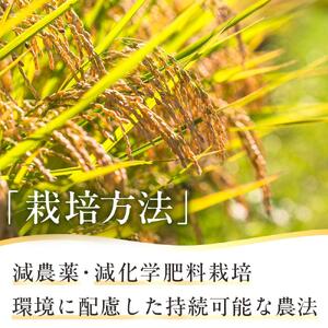 地元産 両郷米 10Kg ×1袋 ｜  お米 コシヒカリ こしひかり 栃木県 大田原市