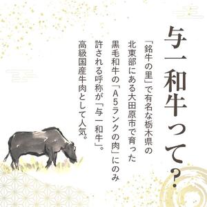 大田原市公式「大田原ブランド」認定第７号「与一和牛100％生ハンバーグ」200ｇ10個入りソース付き