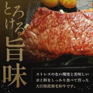 大田原産 黒毛和牛 サーロイン ステーキ　約300g×3枚