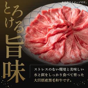 大田原産 黒毛和牛 リブロース すき焼き・しゃぶしゃぶ用　300g×2