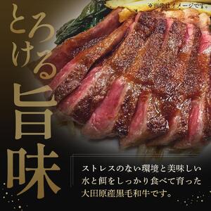 大田原産 黒毛和牛 モモ 熟成肉　約700g～1kg
