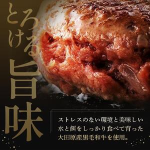 ソースのいらない究極の大田原産黒毛和牛 ハンバーグ | 黒毛和牛 熟成 高級 和牛 ハンバーグ