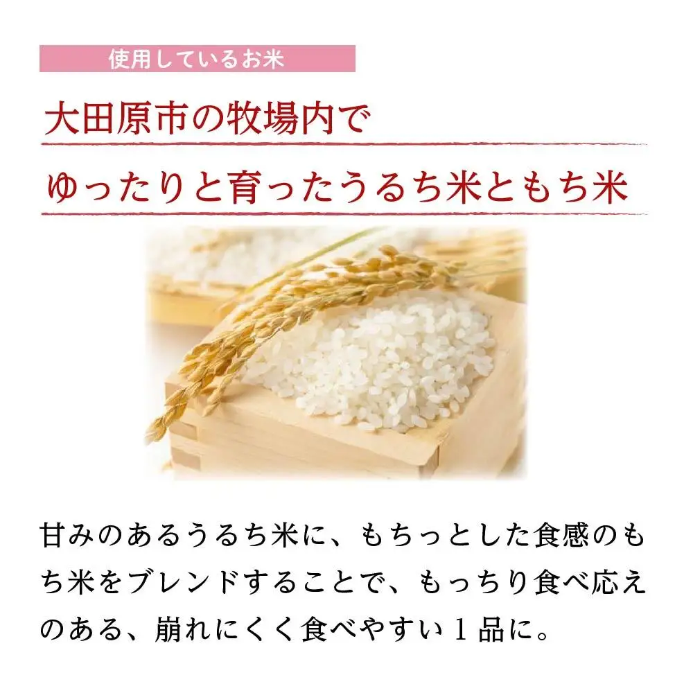 【大田原 前田牧場直送】牧場のお米とお肉でつくったライスバーガー （130g×8個） | ブランド牛 牛肉 焼肉 バーガー 産地直送 産直