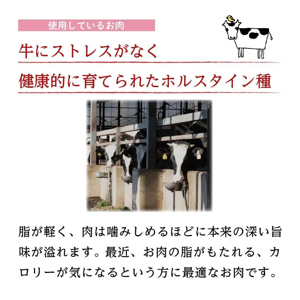 【大田原 前田牧場 ビーフカレー 200g×10袋 】ルゥがとろりと濃厚な高級カレー | ブランド牛 牛肉 カレーライス レトルト カレーカレーカレーカレー