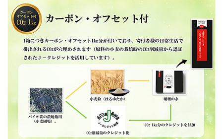 下川手延素麺 珊瑠の糸 1,080g（化粧箱入） 北海道下川町産小麦はるゆたか100%使用 カーボン・オフセット1kg付 バイオ炭の農地施用 日本最北の手延べ素麺 はるお製麺 ギフト 贈り物 F4G-0202