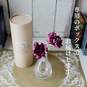 SL0310　【母の日2026】 フリーズドライフラワー 「水のいらないカーネーションギフト ニコニコ」